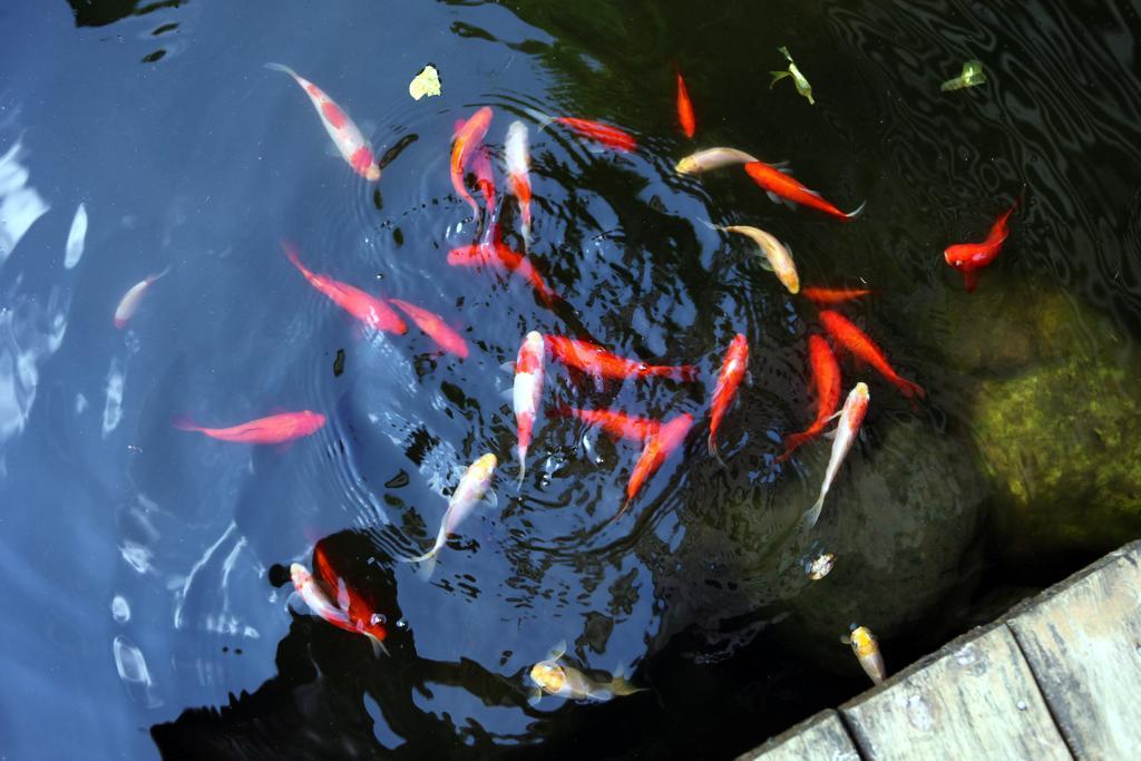 Guest House Of Permaculture Jiaxin 外观 照片